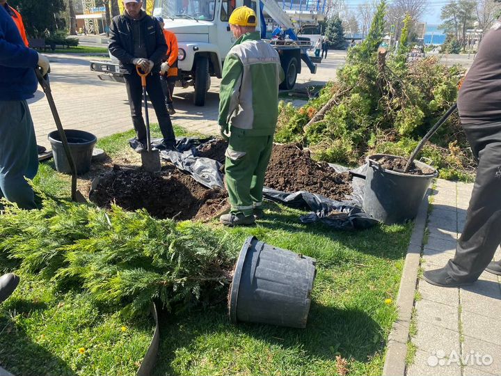 Услуги агронома