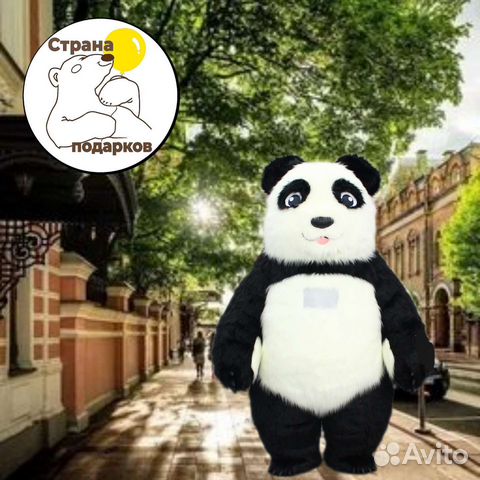 Медведь белый,панда,зайка,Джонни.Поздравления Тула