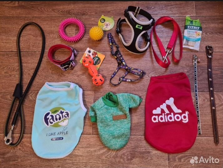 Амуниция для собак