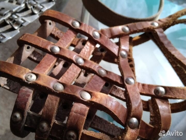 Намордник и строгий ошейник для собак