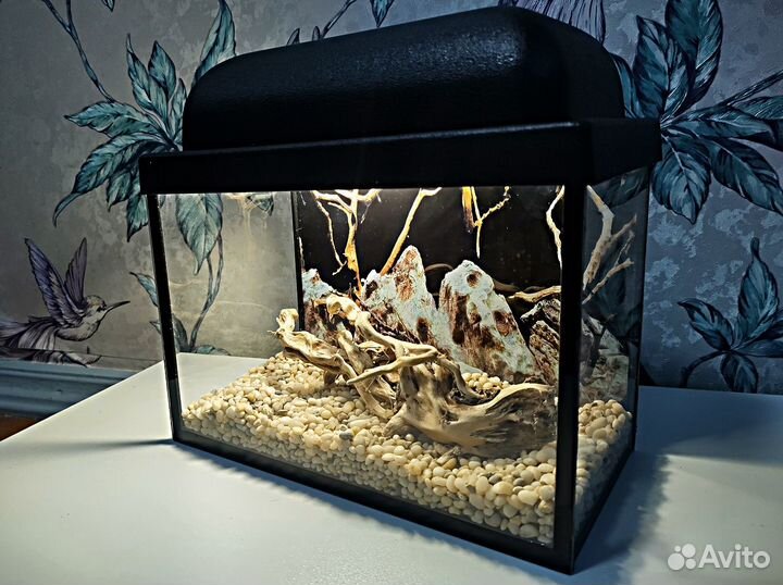 Новые настольные аквариумы