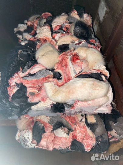 Субпродукты для собак