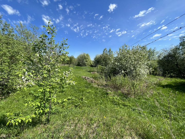 Участок 17 сот. (ИЖС)