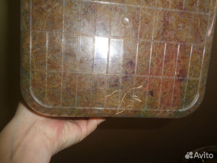 Мох сфагнум (Магелланский)