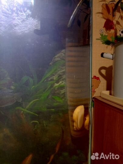 Аквариум с тумбой 150 литров