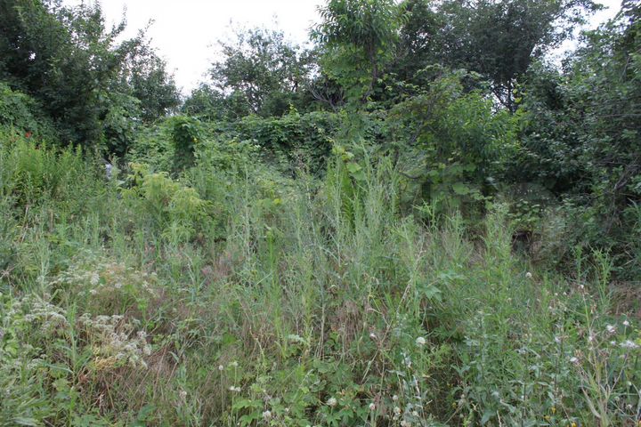 Дача 25 м² на участке 6 сот.