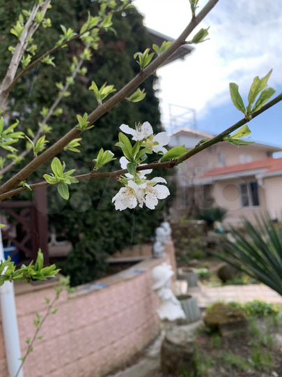 Комната 20 м², 1/2 эт.