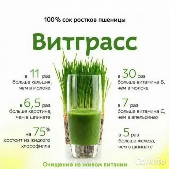 Витграсс, витаминный фреш
