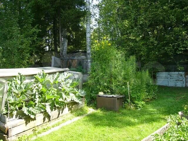 Дача 17 м² на участке 6 сот.