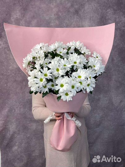 Букеты Цветы Хризантемы с доставкой