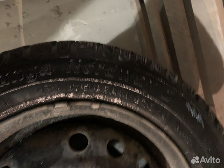 Pirelli Cinturato P1 175/65 R14