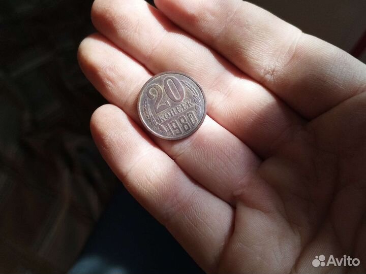 Манера 20к 1980г