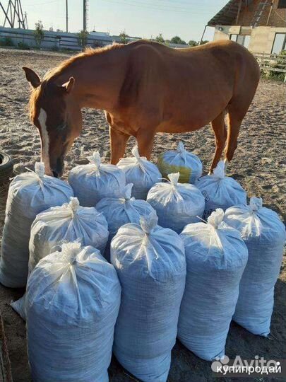 Навоз конский в мешках