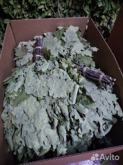 Комплект 40 дубовых веникв для бани