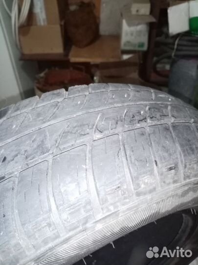 Шина тунга r13