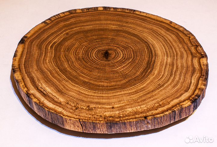 Торцевая доска из дуба, спил