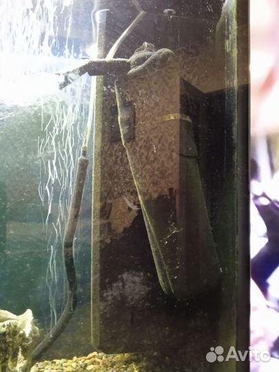 Аквариум 250 литров с тумбой juwel