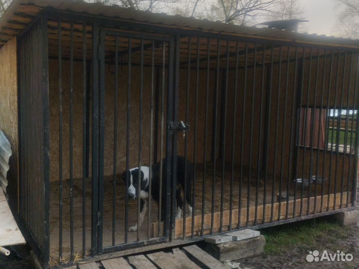 Вольер для собак уличный