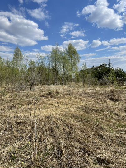 Участок 60 сот. (ИЖС)