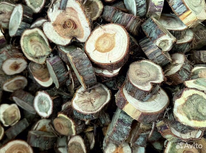 Спилы и панно из можжевельника