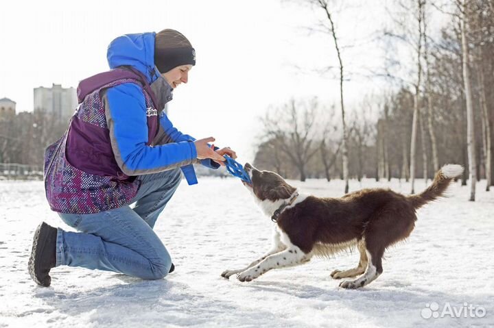 Консультация кинолога. Инструктор-дрессировщик