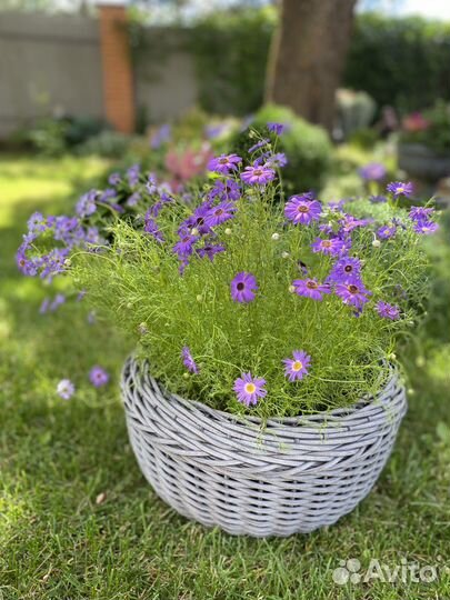 Цветочные Кашпо для летних террасс