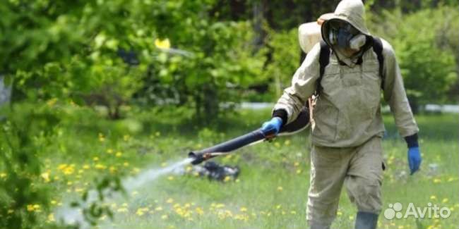 Дезинфекция