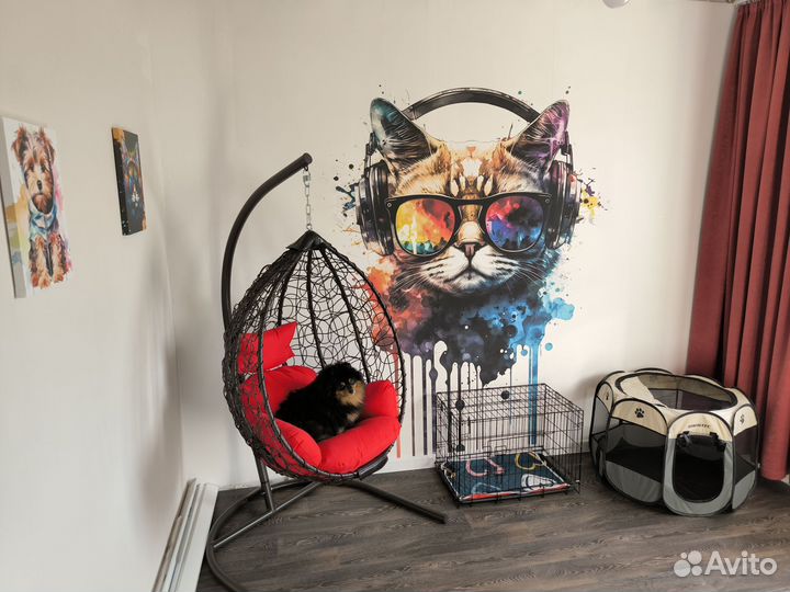 Передержка собак и кошек (гостиница)