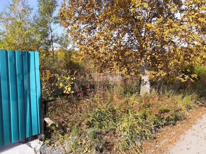 Участок 6,5 сот. (СНТ, ДНП)