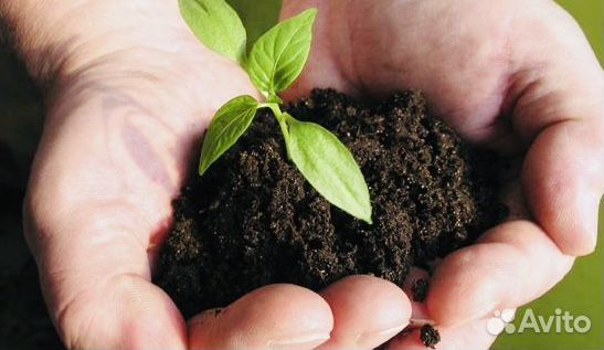 Чернозём Рязань Земля плодородная x22