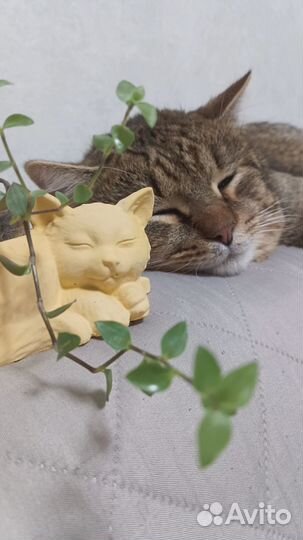 Декор из гипса