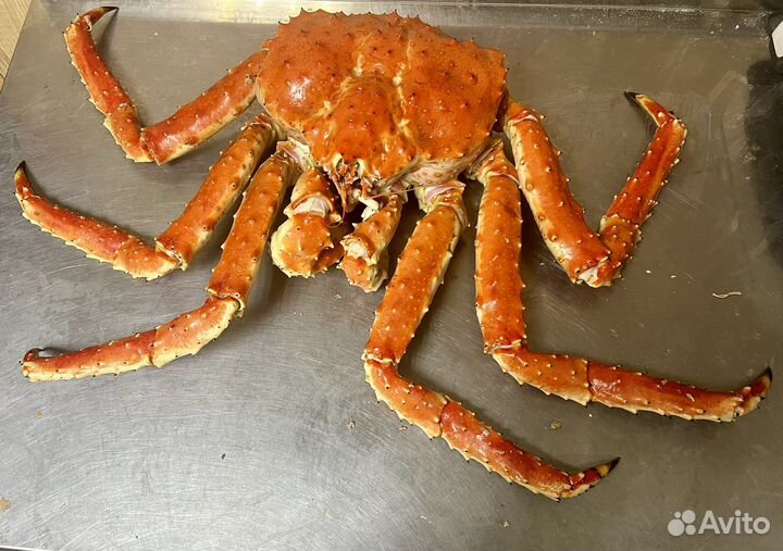 Рыба, краб, икра