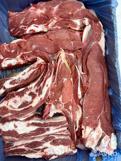Баранина домашняя свежая