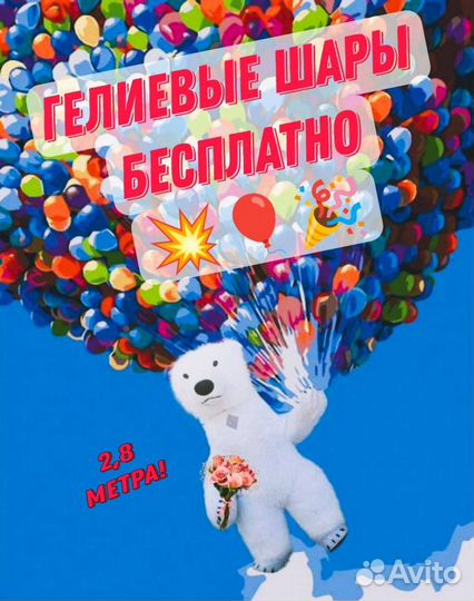 Белый Мишка Праздник