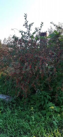 Дача 40 м² на участке 6 сот.