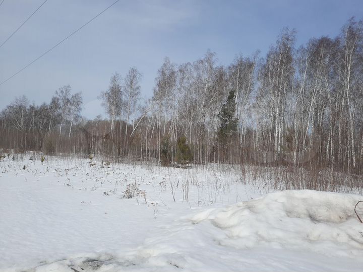 Участок 1,55 га (СНТ, ДНП)