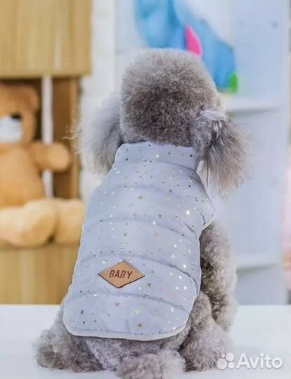 Одежда для собак