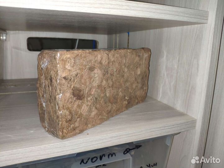 Кокосовый субстрат