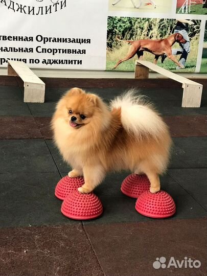 Услуги хендлера