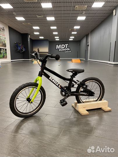 Детский велосипед Beagle 116