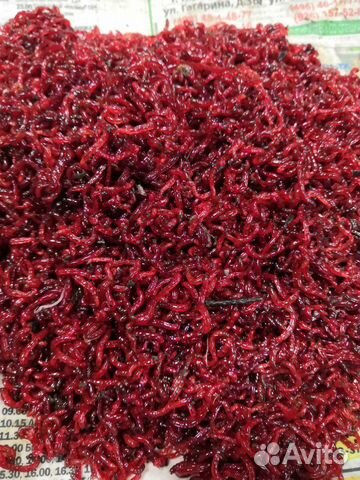 Мотыль. червь. опарыш