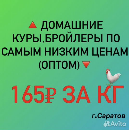 Домашние куры бройлеры оптом