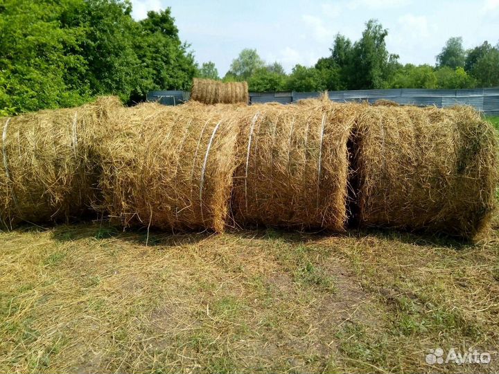 Сено в рулонах