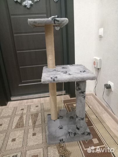 Когтеточка