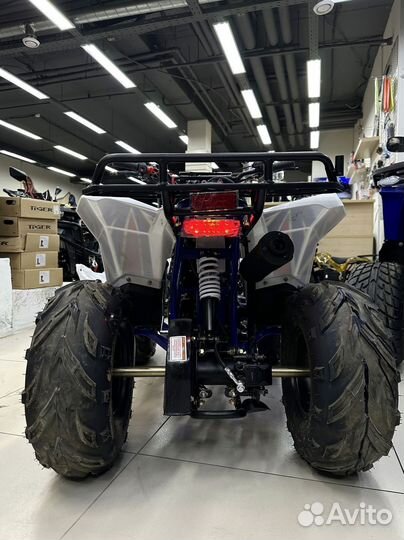 Квадроцикл 110 кубов motax grizlik A110