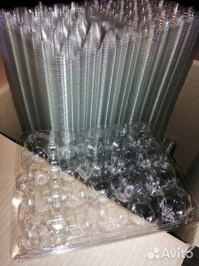 Упаковка для пепепелиных яиц