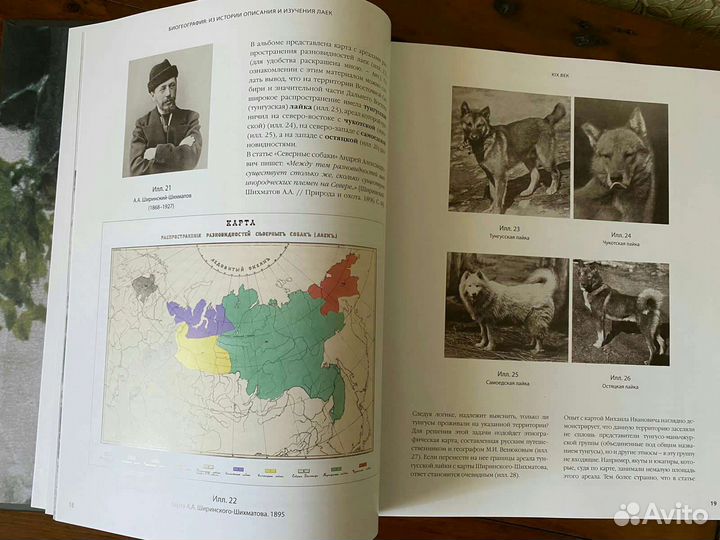 О восточносибирской лайке и не только