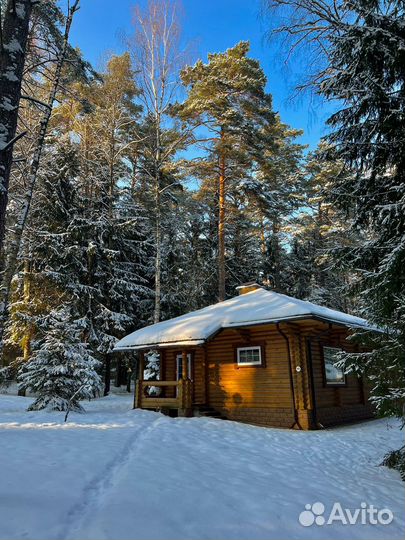 Русская баня на дровах