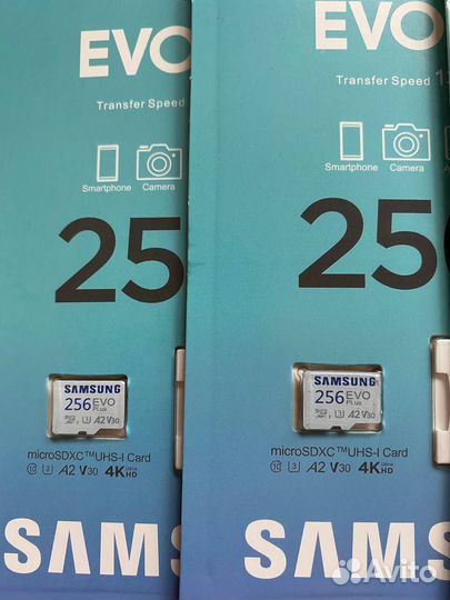 Карта памяти MicroSD Samsung EVO Plus 256 Gb