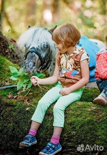 Детский день рождения, праздники, аниматоры